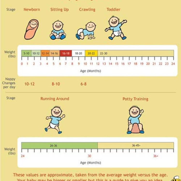 Infant Growth Percentile कैलकुलेटर को इस तरह इस्तेमाल करें